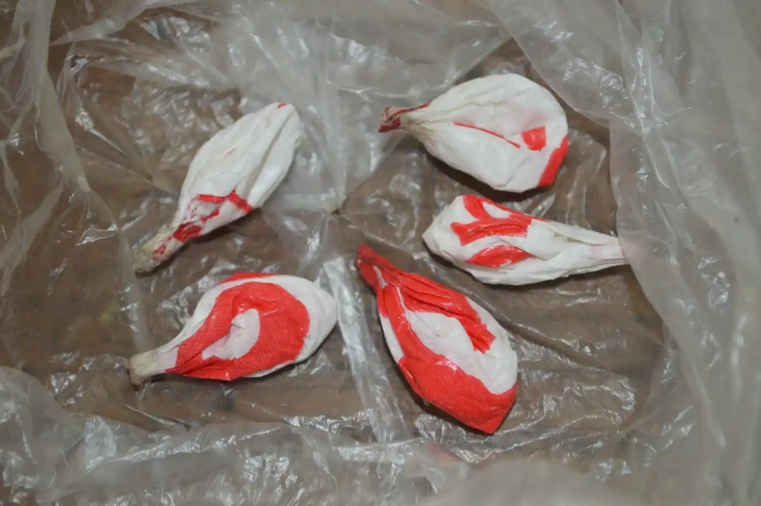 Una mujer intentó ingresar cocaína a la Unidad Penal 2