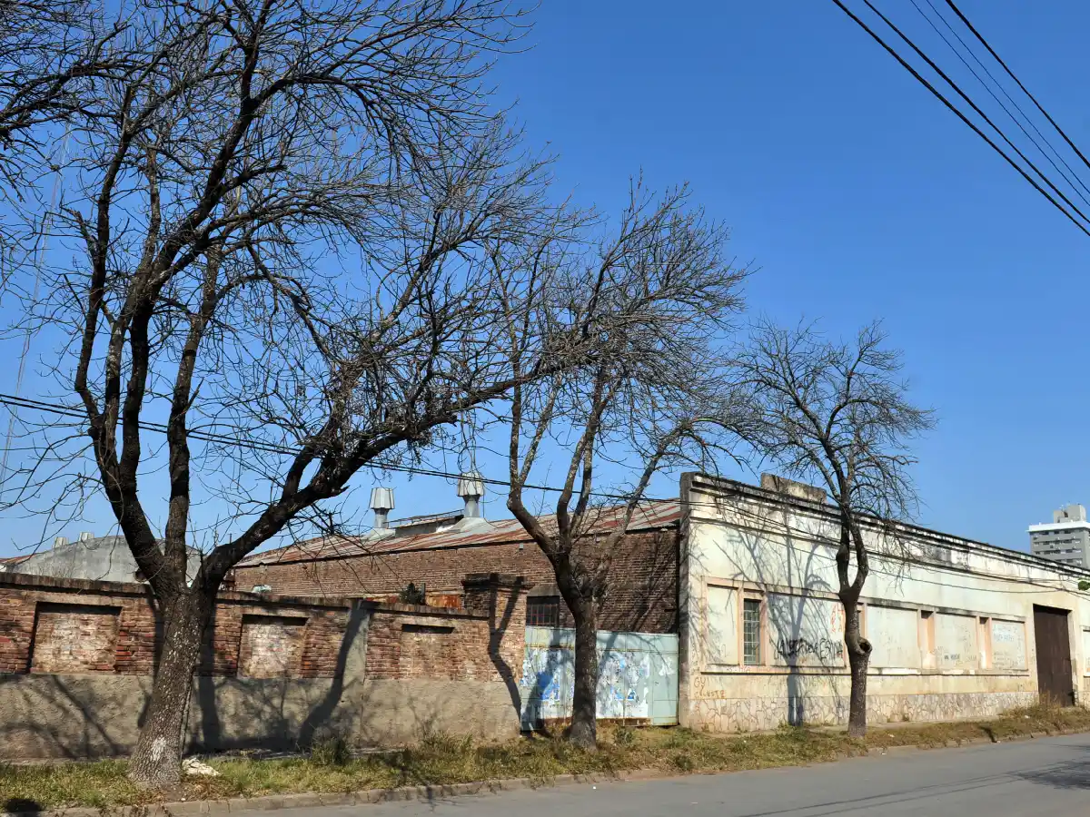 Sarmiento, un barrio custodiado por un “viejo” zorro