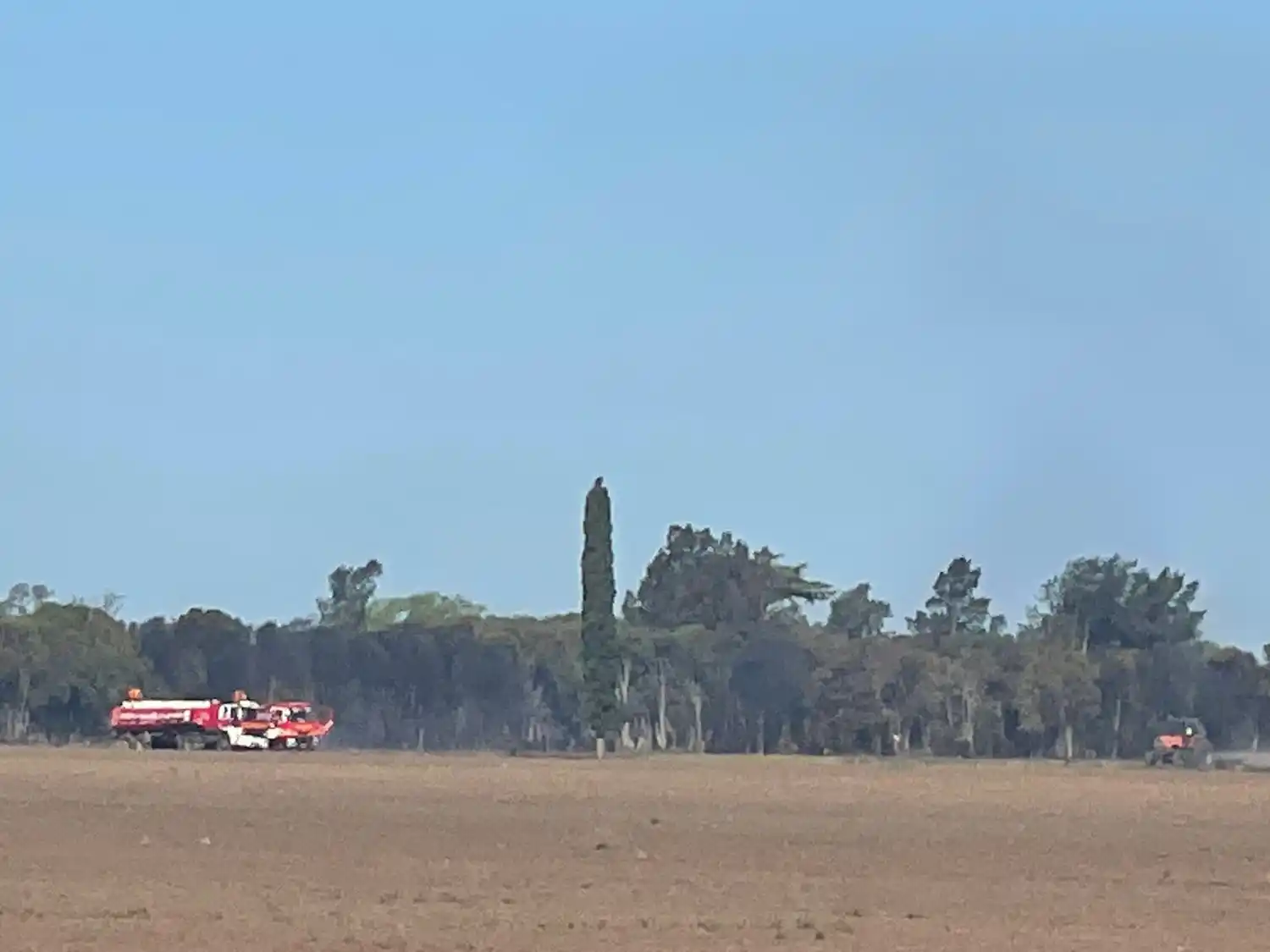 Bomberos sofocó dos incendios de pastizales y cortinas de árboles