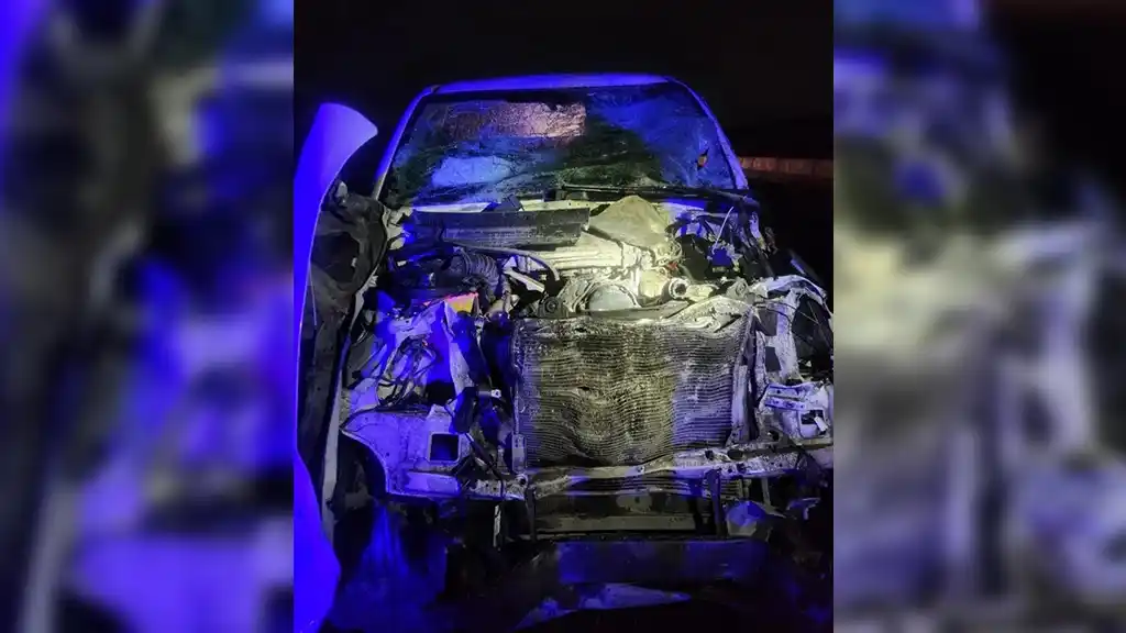 Los dos policías resultaron con distintas lesiones luego de que la patrulla chocara contra dos animales sueltos en la autovía Punilla