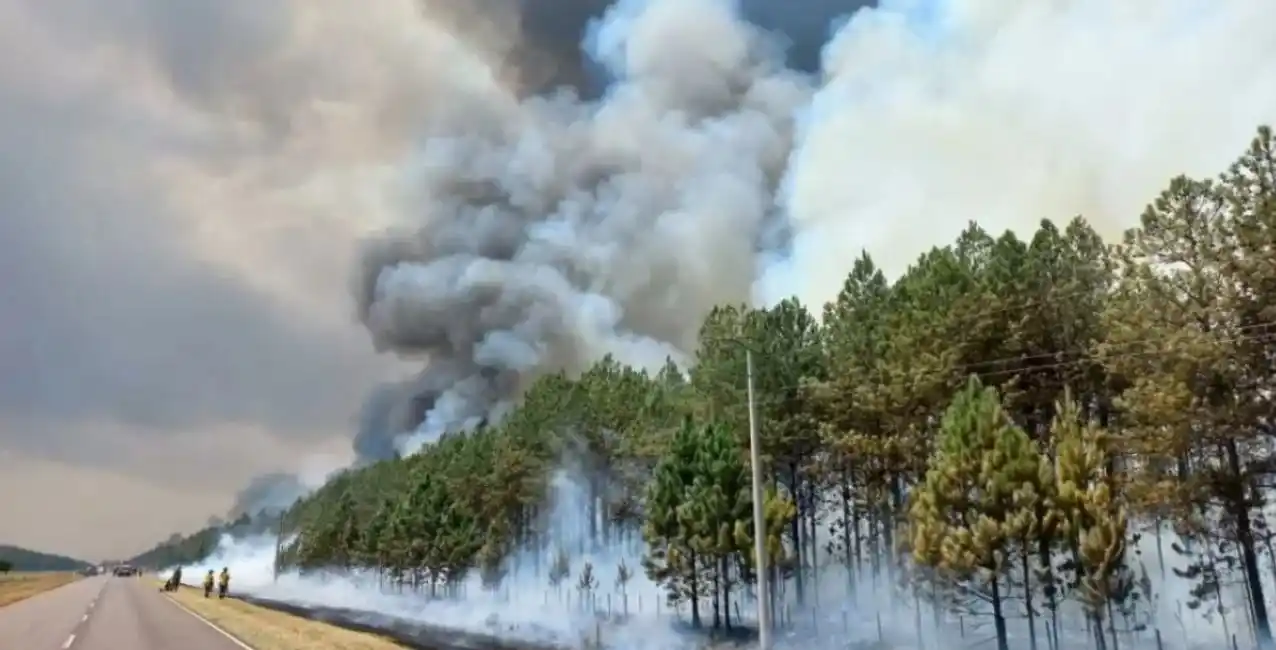 Incendios en Corrientes: las lluvias trajeron un alivio a la acción de bomberos