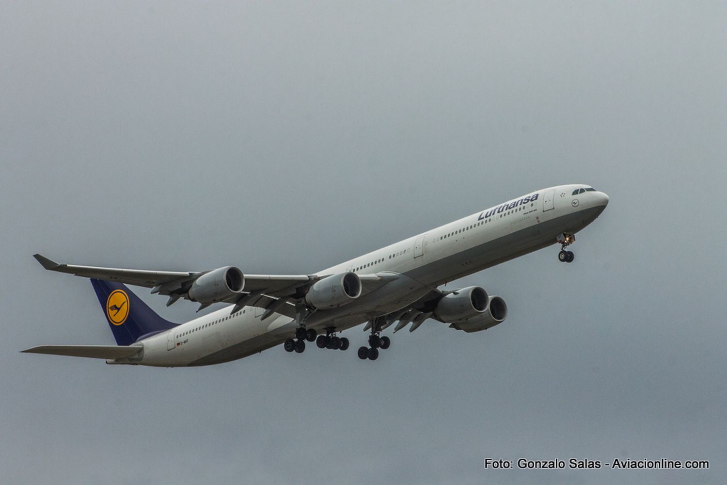 Liquidación: Lufthansa pone en venta 12 Airbus A340-600