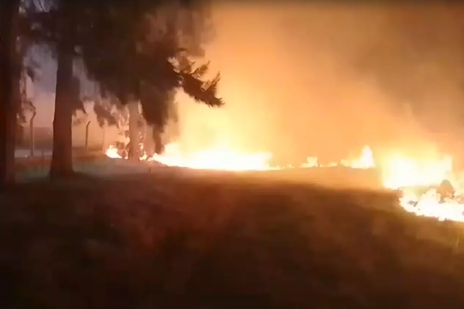 Conmoción por voraz incendio en el Bosque de los Constituyentes