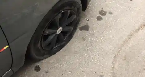 “Dejé el auto estacionado y un perro me mordió la goma”