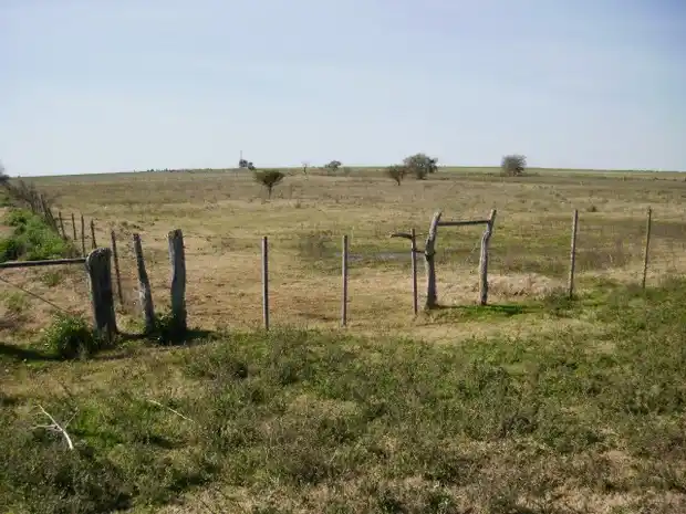 Ratifican el incremento del Impuesto Inmobiliario Rural 