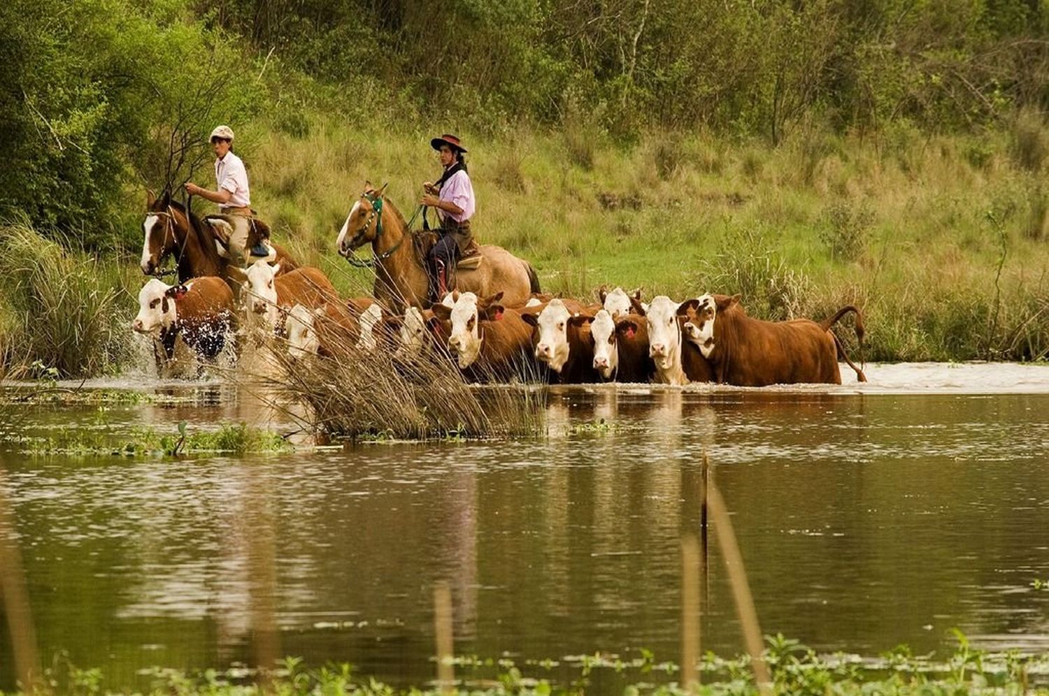 La provincia toma medidas de evacuación de la hacienda frente a la creciente