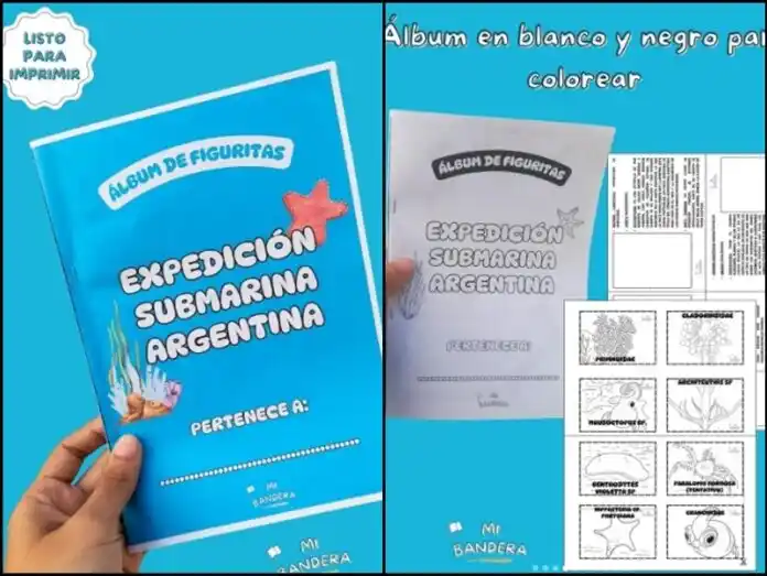 Álbum de figuritas de la expedición submarina del Conicet: una iniciativa lúdica para seguir aprendiendo