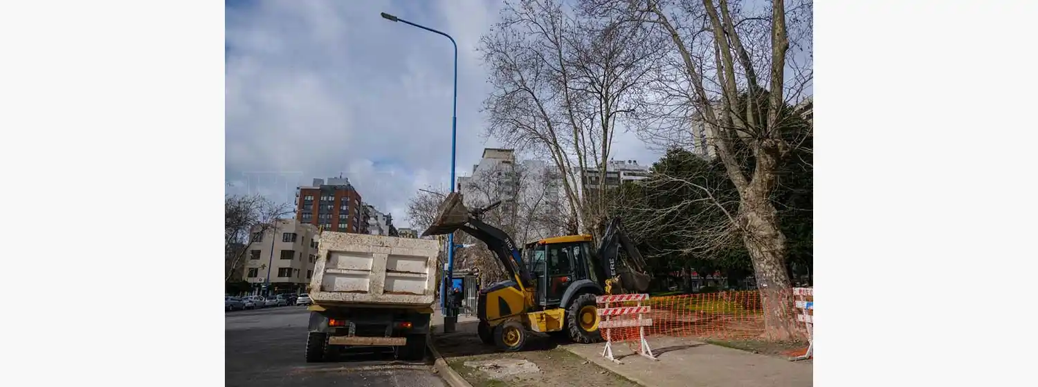 Se reanudan las obras en la Plaza San Martin