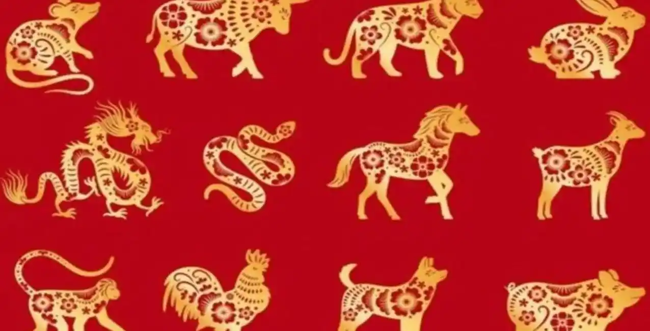 Horóscopo Chino: tu número de la suerte para el 2022