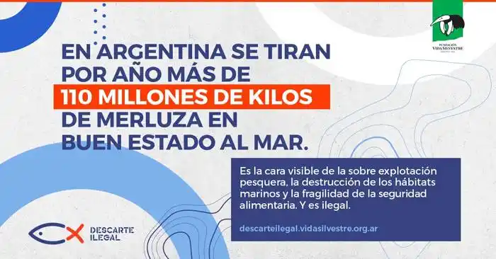 Se tiran por año más de 110 millones de kilos de merluza en buen estado al mar argentino