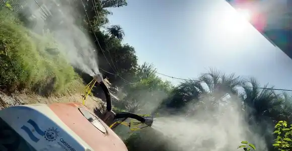 Cronograma de fumigaciones