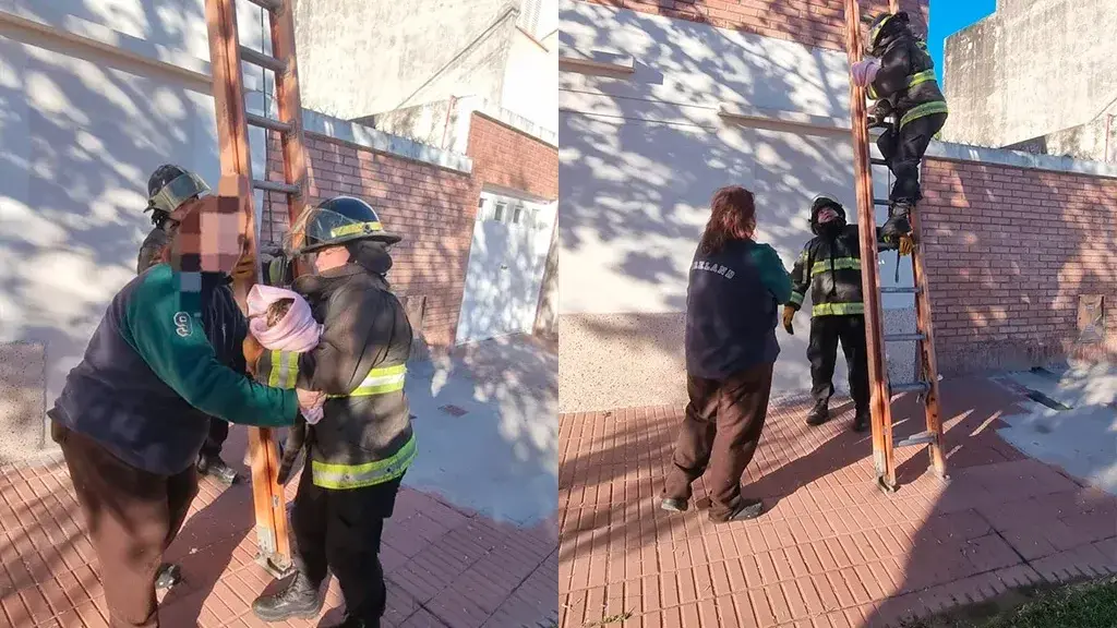 Bomberos rescataron a un gato que había quedado atrapado en un techo