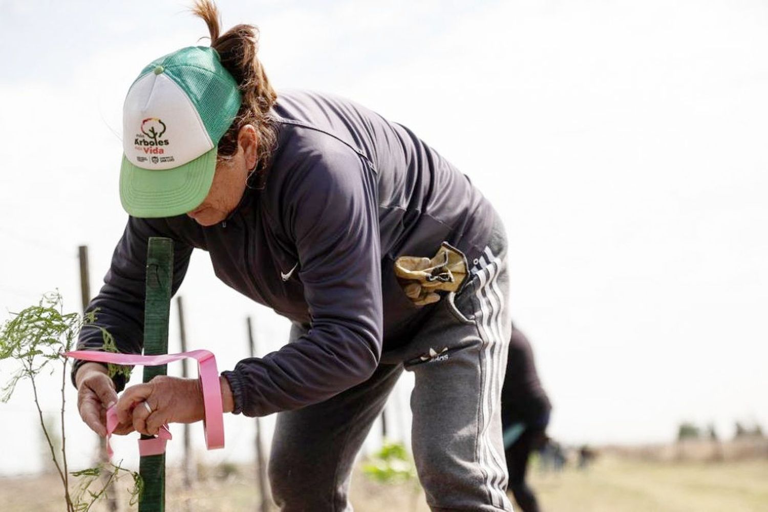 Aseguran que la obra pública es el principal "cliente" de los forestadores