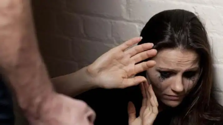 Los datos de violencia familiar y contra la mujer están disponibles en Internet