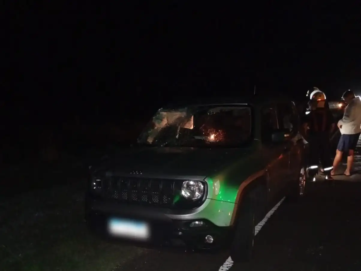 En medio de la noche, una camioneta chocó una bicicleta en la Ruta Provincial N° 16