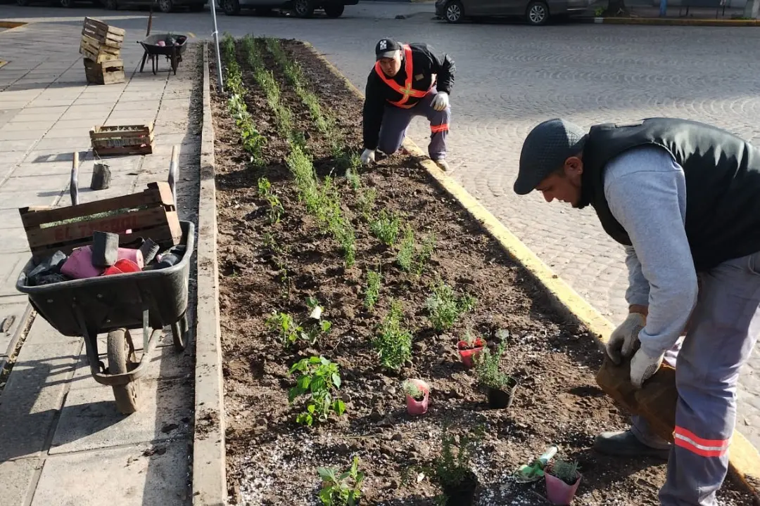 Trabajos en los canteros del centro de la ciudad