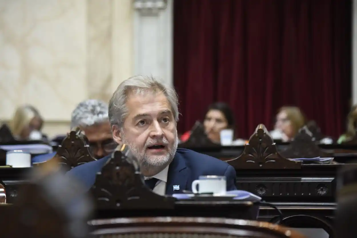 Mirabella propone endurecer las penas a robos y hurtos