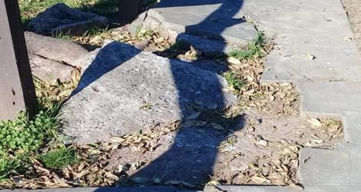 Veredas rotas en el Boulevard