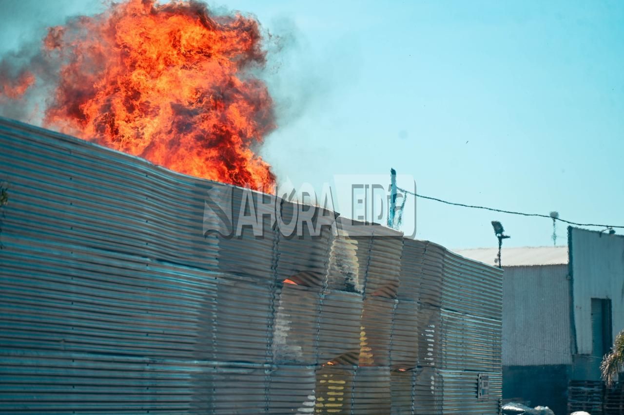 incendio pallets - 6
