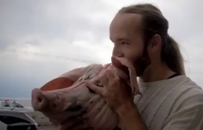 Protestó contra un festival vegano comiendo una cabeza de chancho cruda