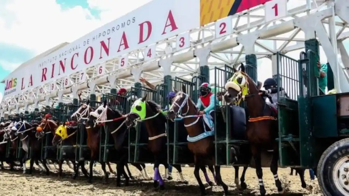 Venezuela será la sede de la Serie Hípica del Caribe en 2024