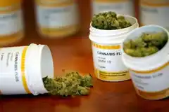 El cultivo de cannabis con fines medicinales está fuera de toda persecución penal