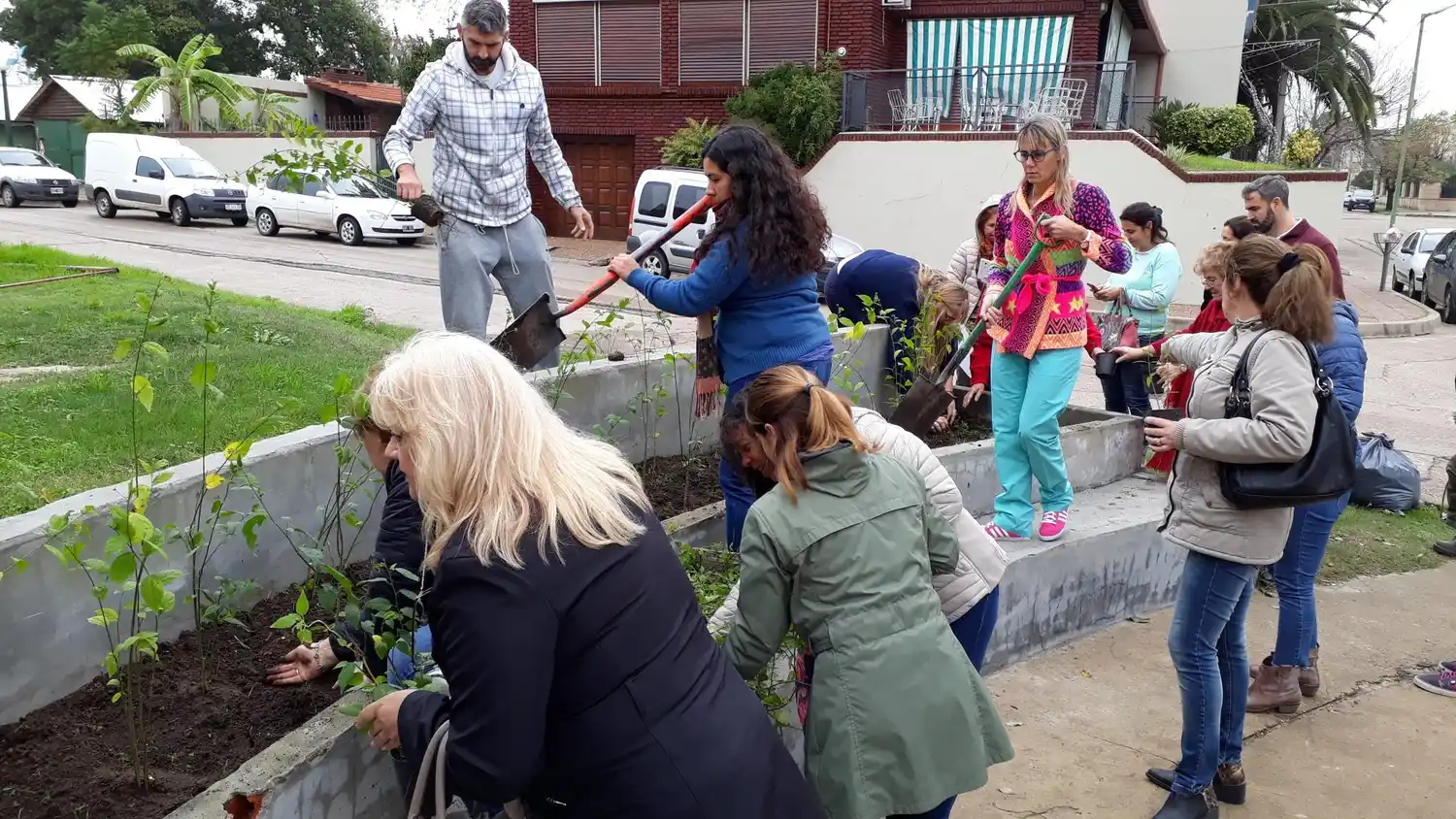 Se instaló en los galpones del puerto el primer cantero con plantas nativas
