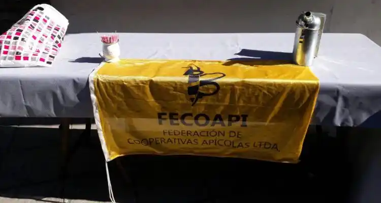 Fecoapi prepara actividades para celebrar la “Semana de la Miel”