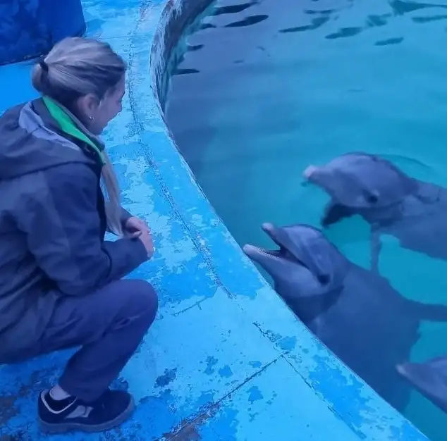 delfines aquarium inspección