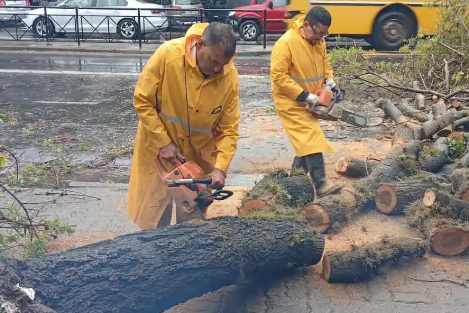 Tormenta en Rosario: ráfagas de hasta 80 kilómetros por hora, importante acumulado y cerca de 50 reclamos