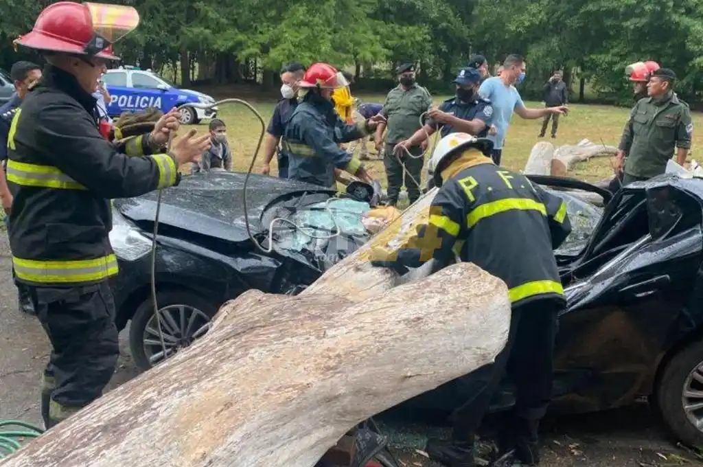 Video: dramático rescate de un automovilista aplastado por un árbol en Ezeiza