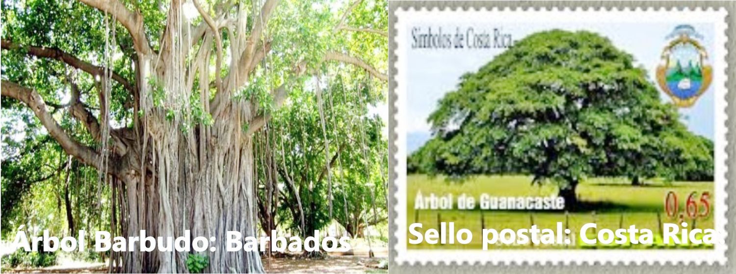 Los Árboles Nacionales en América  (parte 1 - Centroamérica - Caribe)