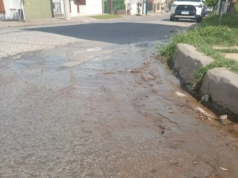 El agua amarronada que circula por el barrio las 24 horas.