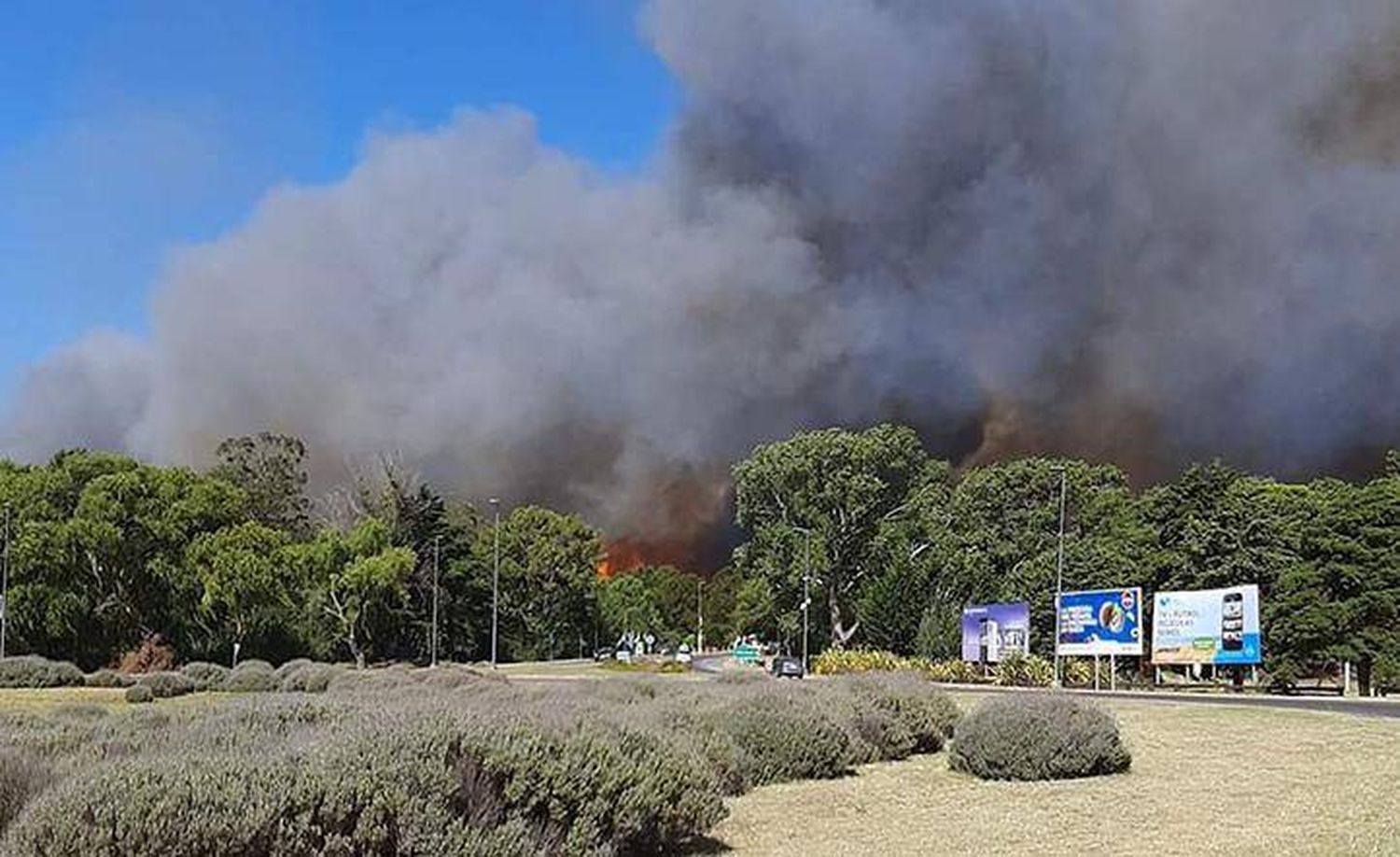 Voraz incendio en Villa Gesell: las llamas llegaron a la playa