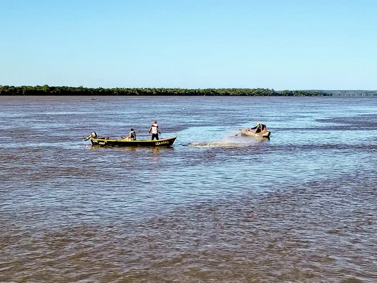 El gobierno redujo más del 60 por ciento el cupo de extracción de pescado para el último trimestre de 2025