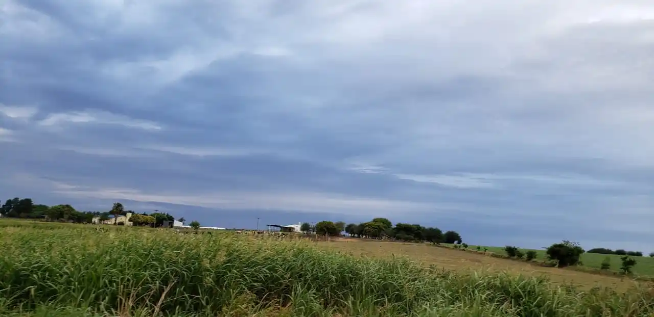 El Servicio Meteorológico Nacional renovó un alerta por tormentas fuertes para Entre Ríos