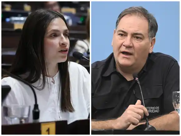 ¿Por qué tantos efectivos policiales están de carpeta médica psiquiátrica?: LLA le pide explicaciones al ministro Alonso