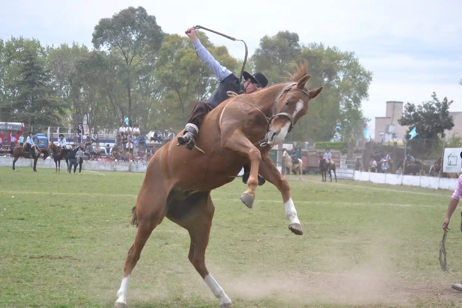 Justicia entrerriana rechazó amparo presentado por Ecoguay contra festival de jineteada