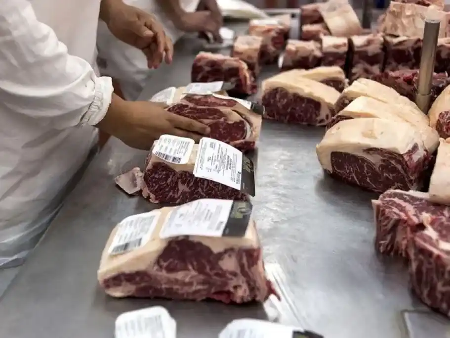 Exportaciones de carne: asignan los cupos de la Cuota Hilton para el nuevo ciclo comercial