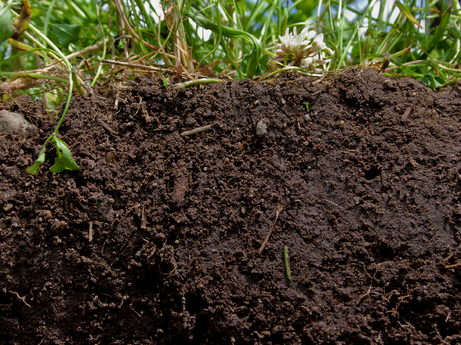 Aseguran que los suelos orgánicos resisten mejor el cambio climático