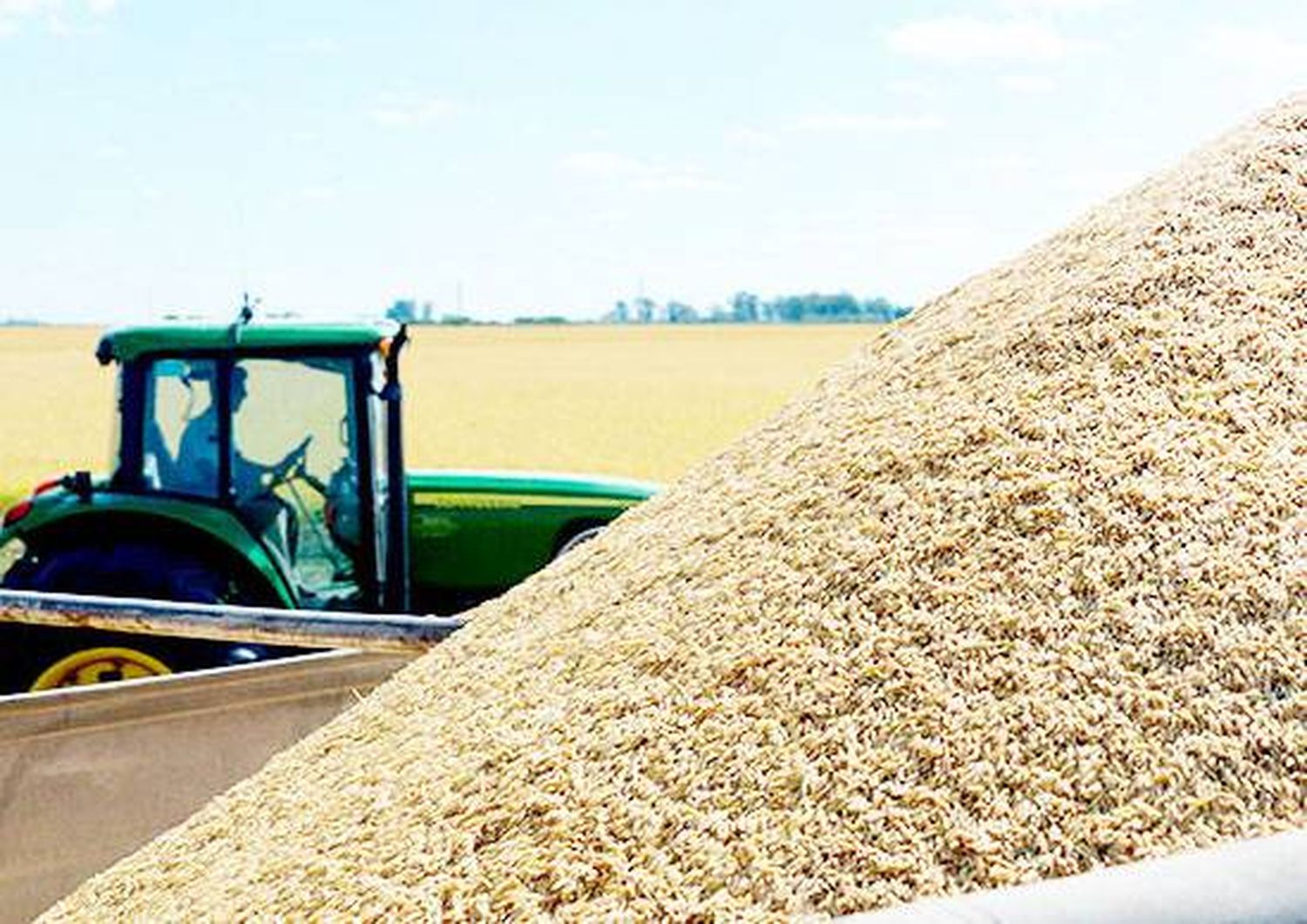 Entre Ríos tuvo rindes históricos en la producción de arroz