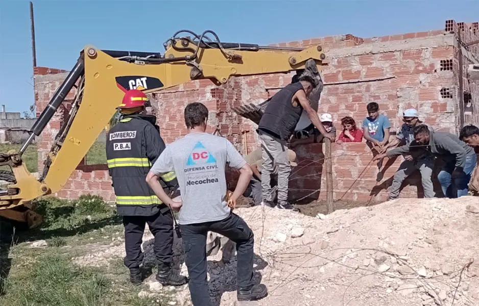 Rescatan un caballo de un pozo
