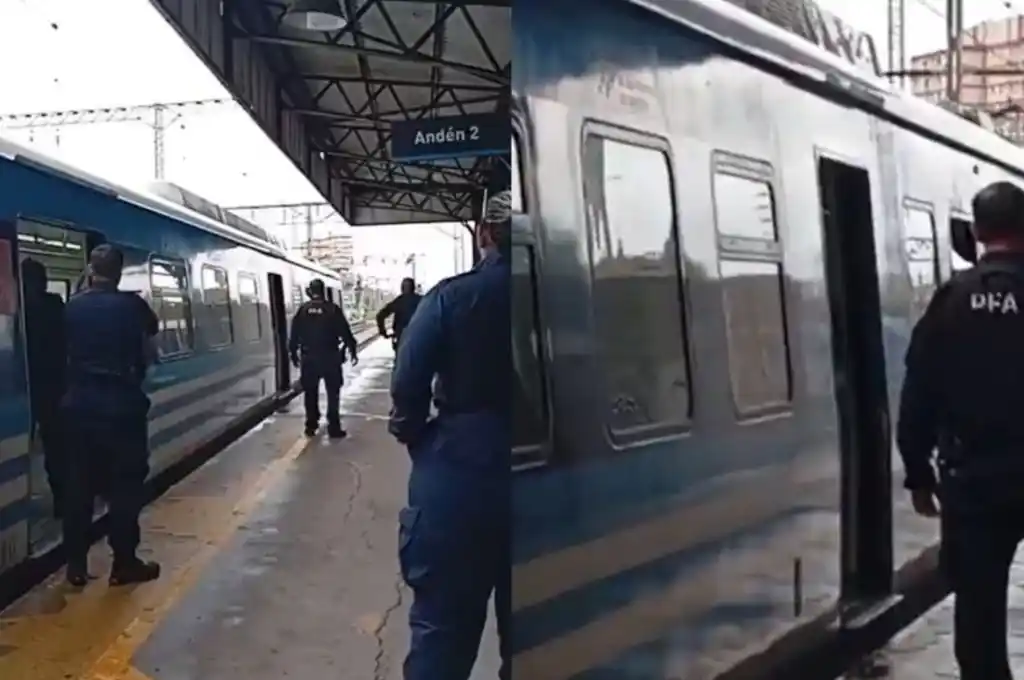 Hombre armado en el tren Roca