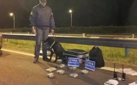 Ruta 14: Incautan droga que viajaba en un colectivo