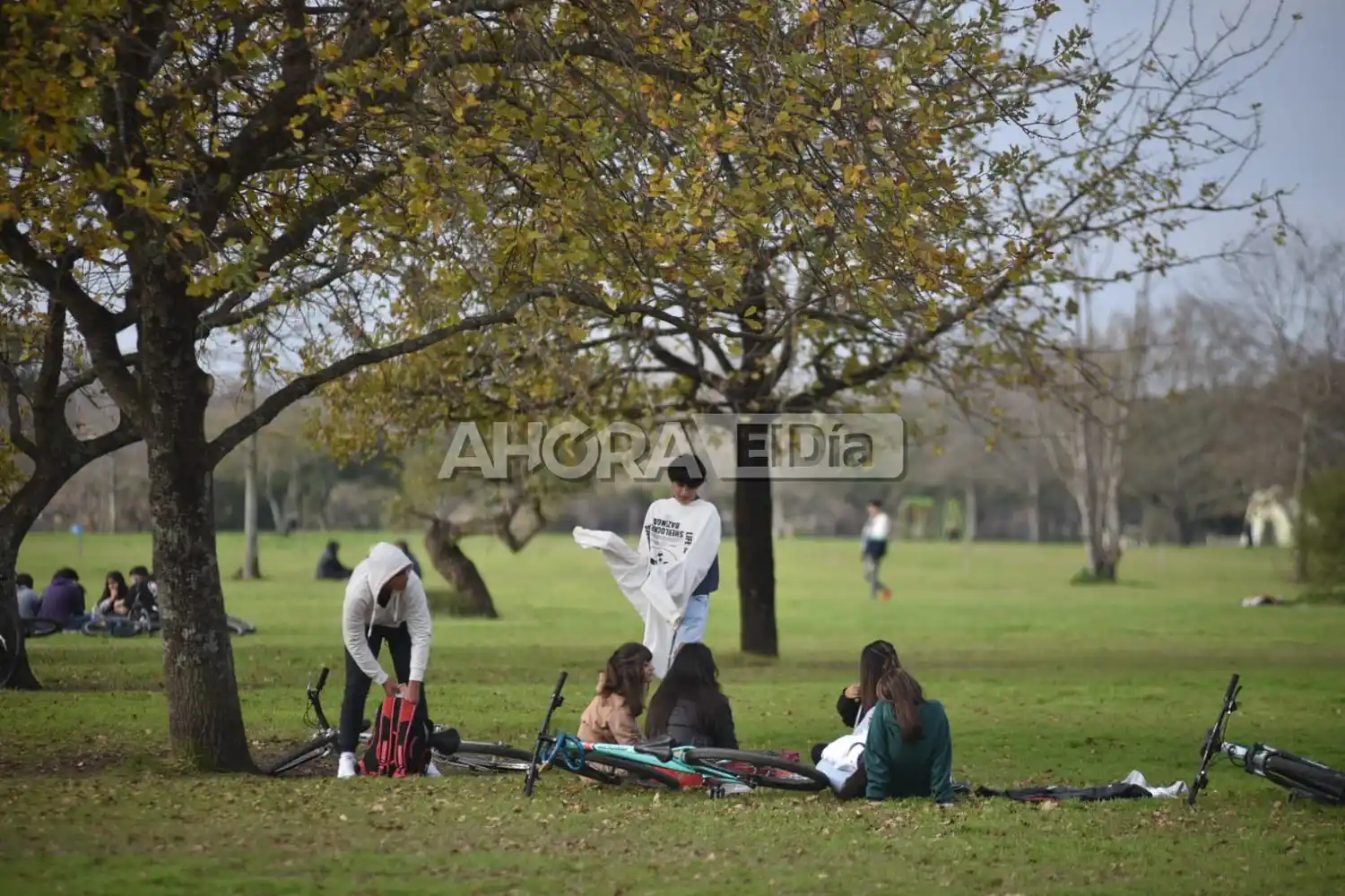 dia del amigo dia de la amistad - 3