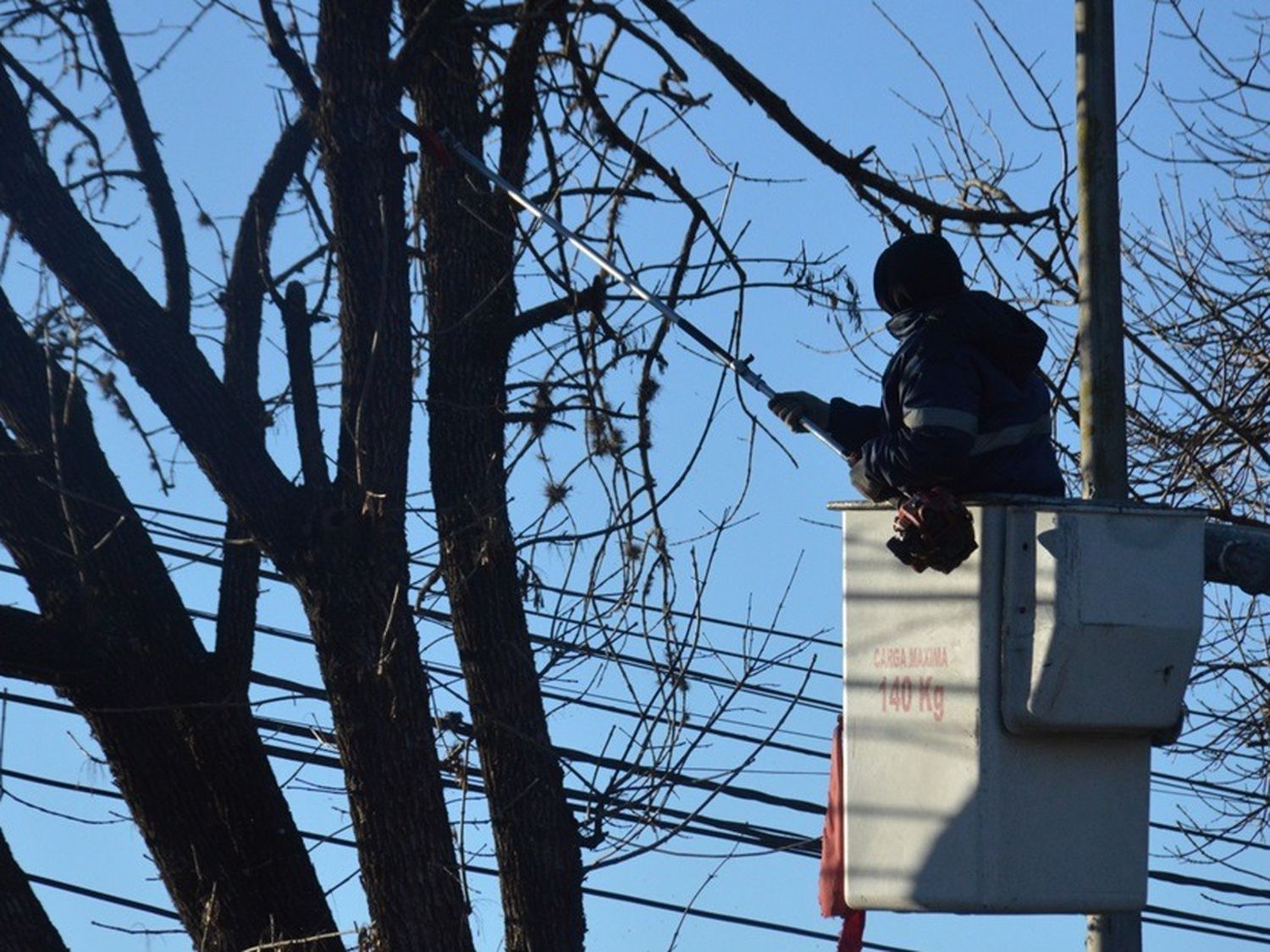Trabajo de poda en altura en diferentes barrios.