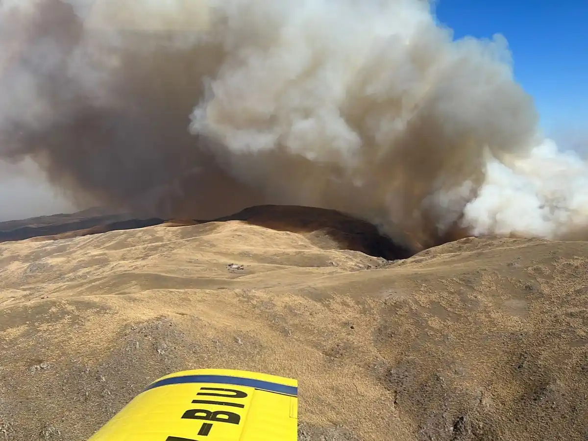 Incendios: estado de situación en la Provincia