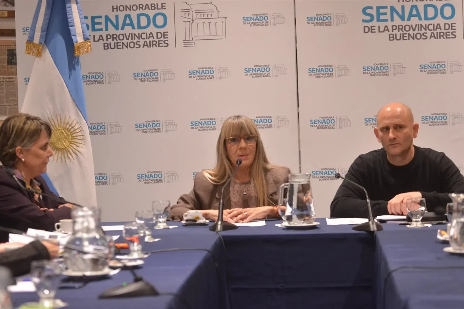 Fotos: Prensa Senado BA