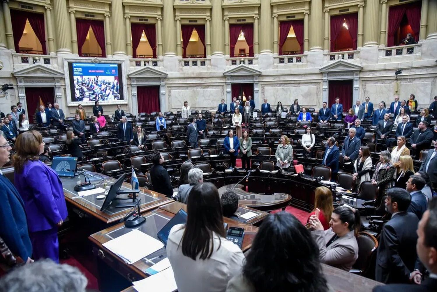 Se renuevan 130 de las 257 bancas de la Cámara de Diputados y 24 de los 72 senadores