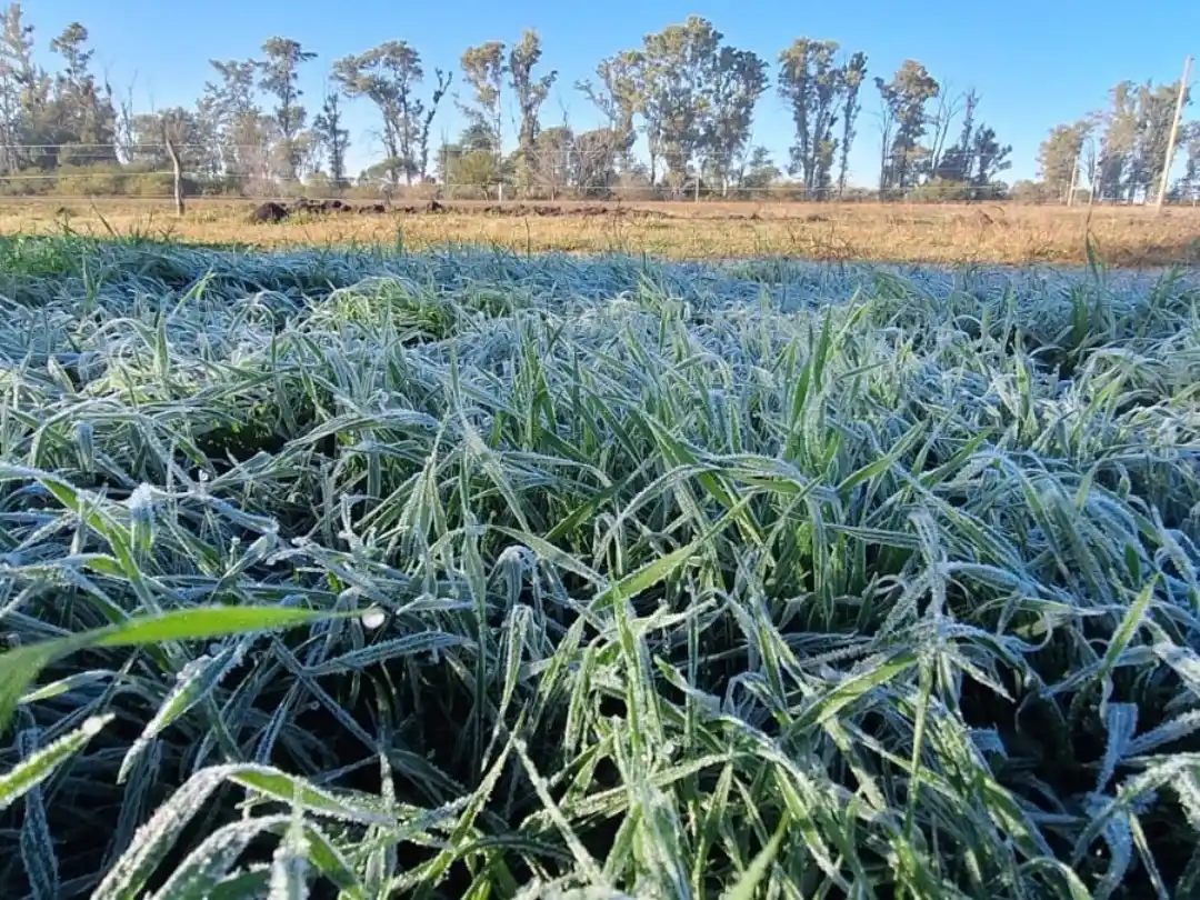 Lunes frío en Entre Ríos: temperaturas bajo cero y sensación térmica extrema